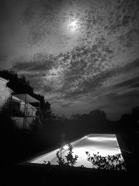 Maison Droles D'Oiseaux Plieux Esterno foto